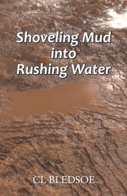 Shoveling Mud into Rushing Water