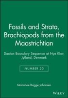 Brachiopods from the Maastrichtian