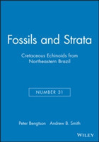 Cretaceous Echinoids from Northeastern Brazil