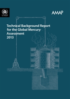 Technical background report for the global mercury assessment 2013
