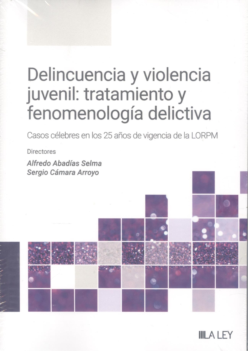 Delincuencia y violencia juvenil: tratamiento y fenomenología delictiva