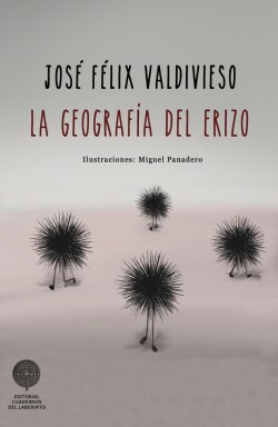 La geografía del erizo