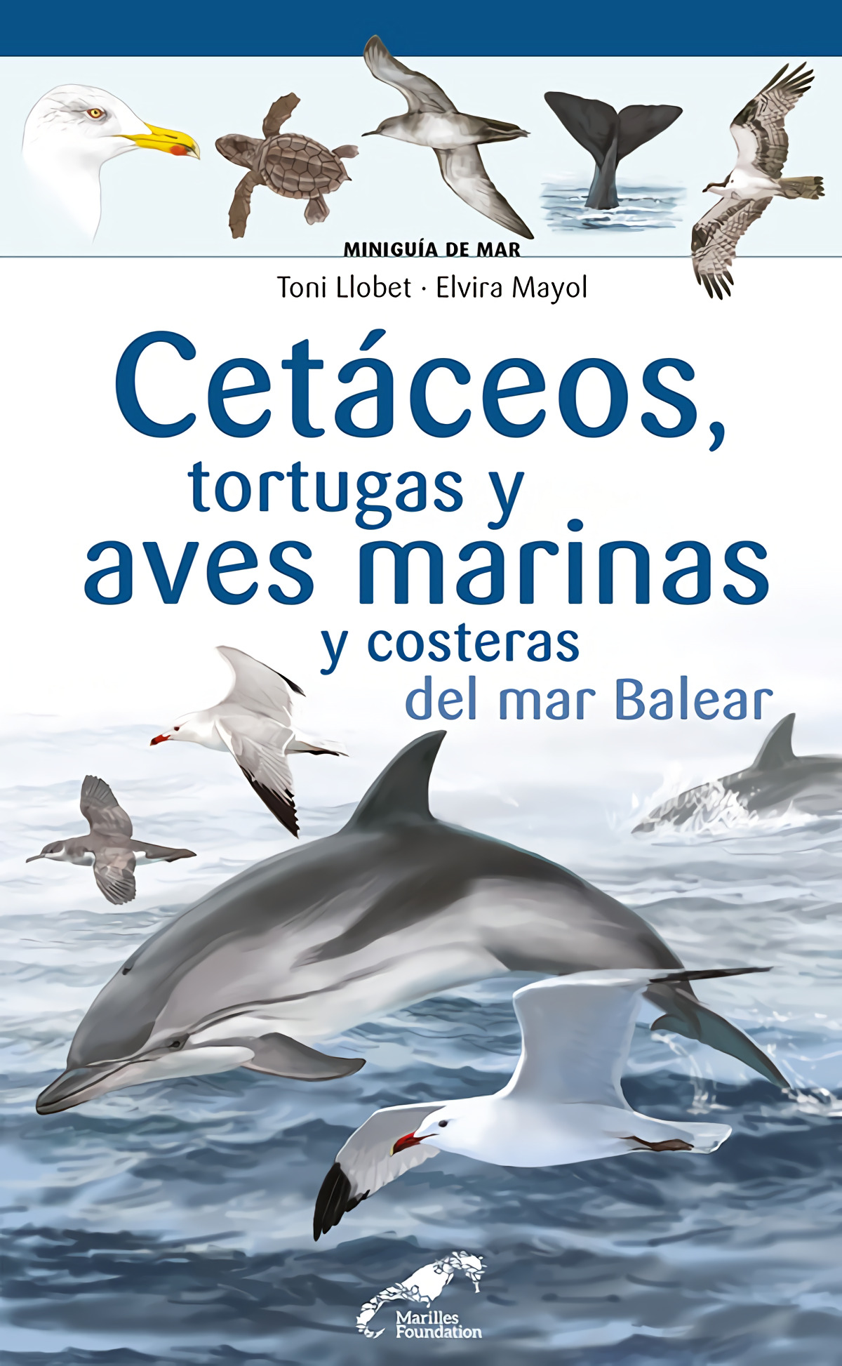 Cetáceos, tortugas y aves marinas y costeras del mar Balear