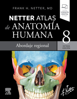 Netter atlas de anatomia humana abordaje regiona