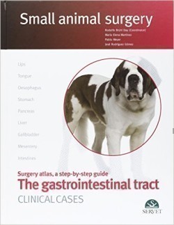 Gastrointestinal Tract. Clinical Cases.  Small Animal Surgery