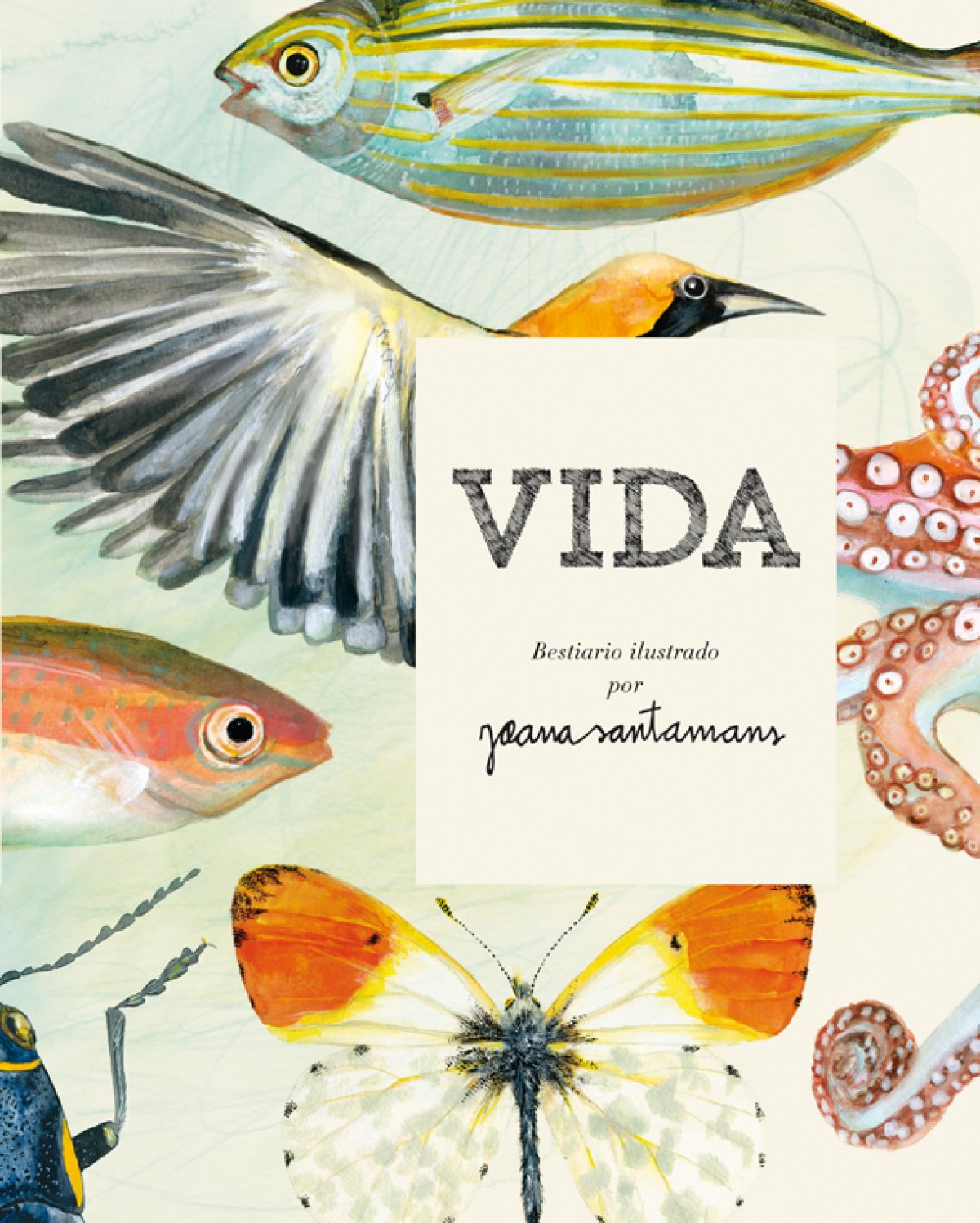 VIDA