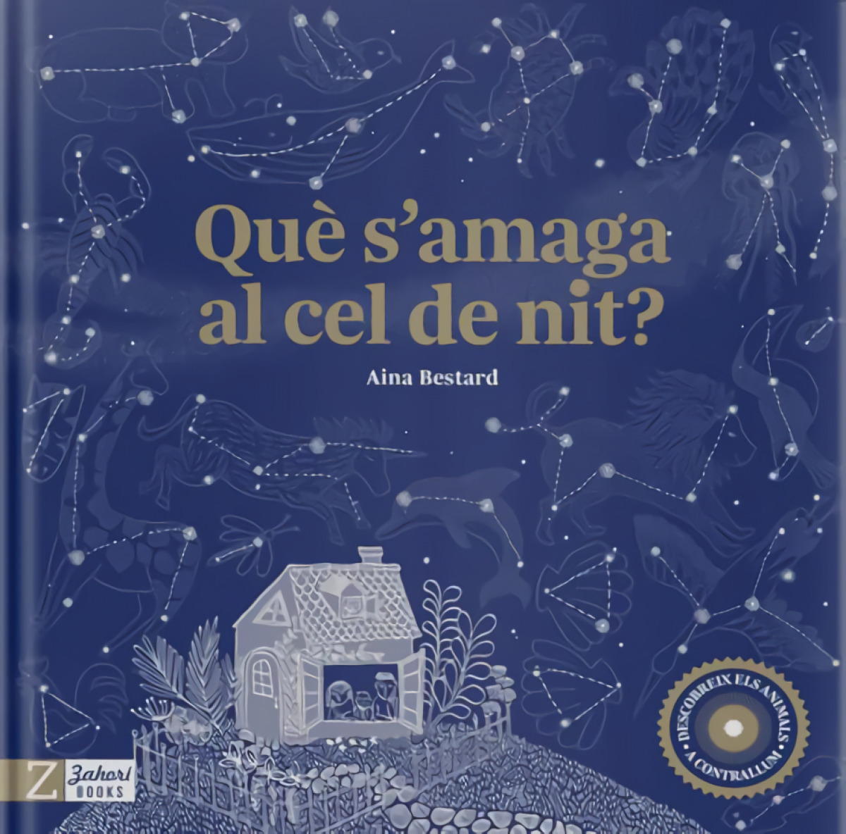 Què s'amaga al cel de nit