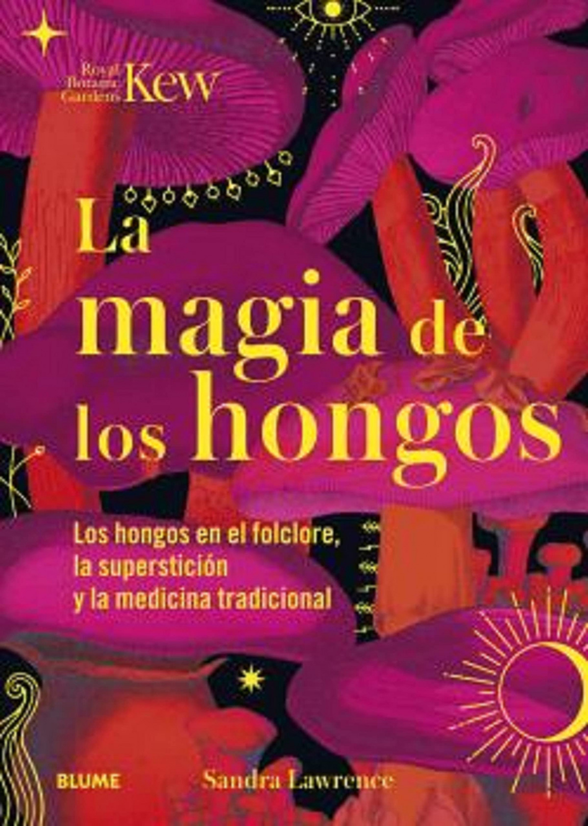 Magia de los hongos