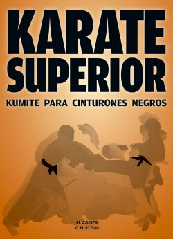 Karate superior