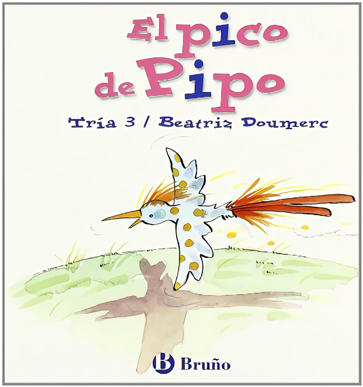 El pico de Pipo