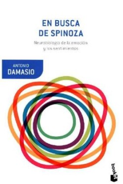 EN BUSCA DE SPINOZA