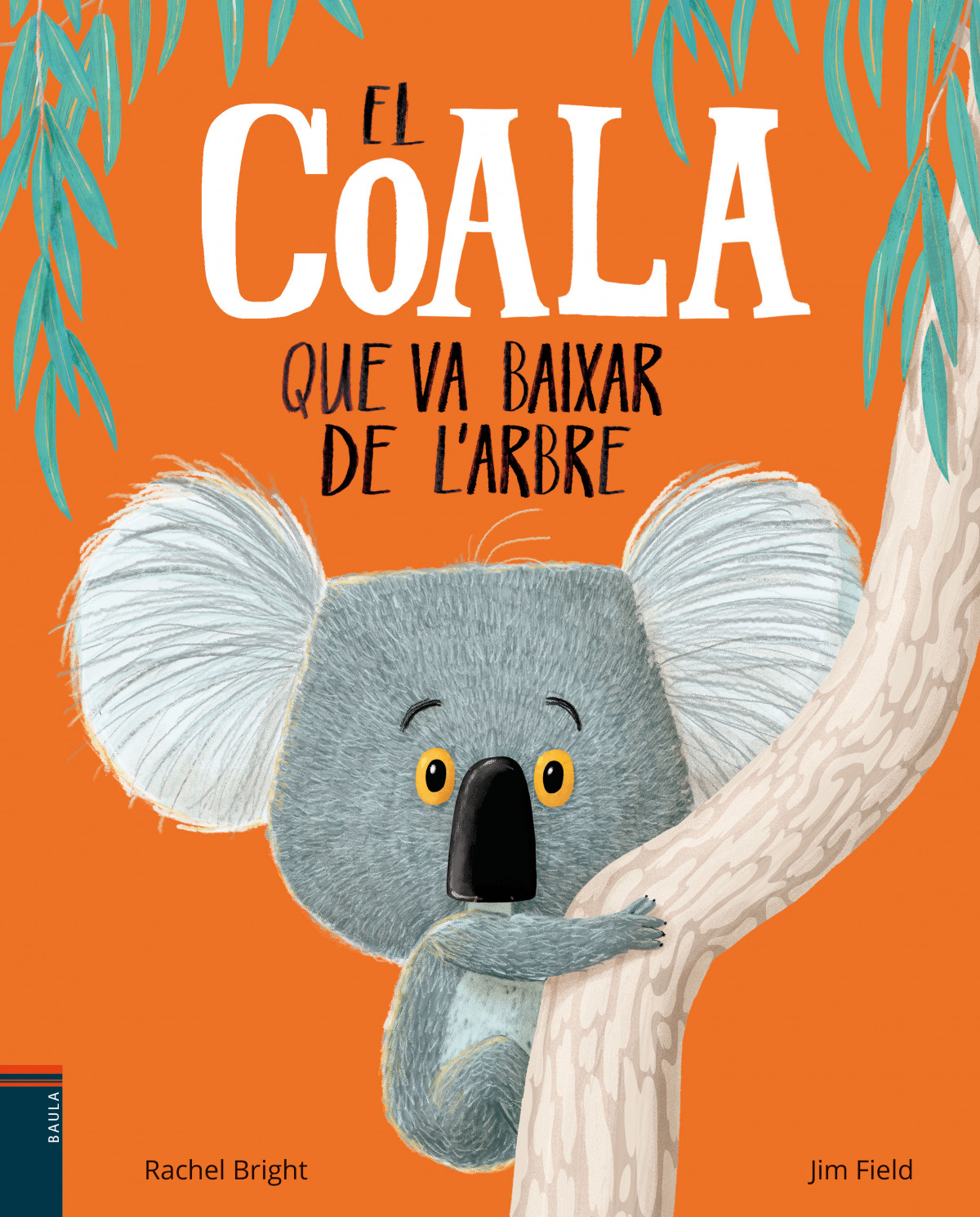 EL COALA QUE VA BAIXAR DE L´ARBRE