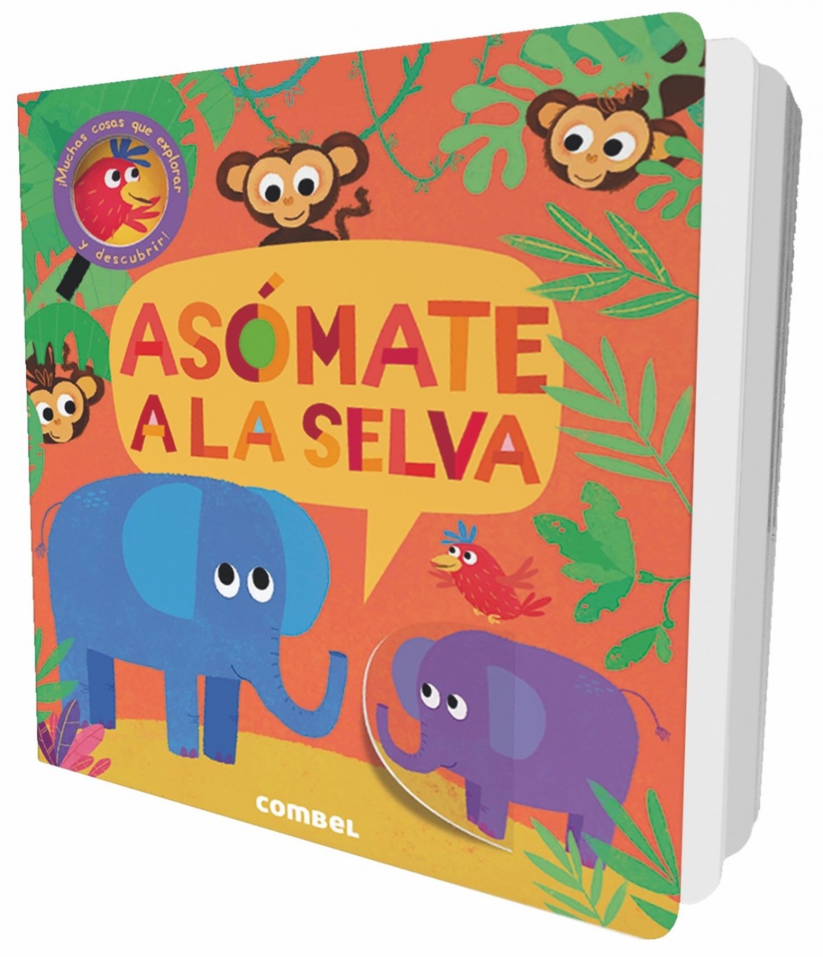 Asómate a la selva