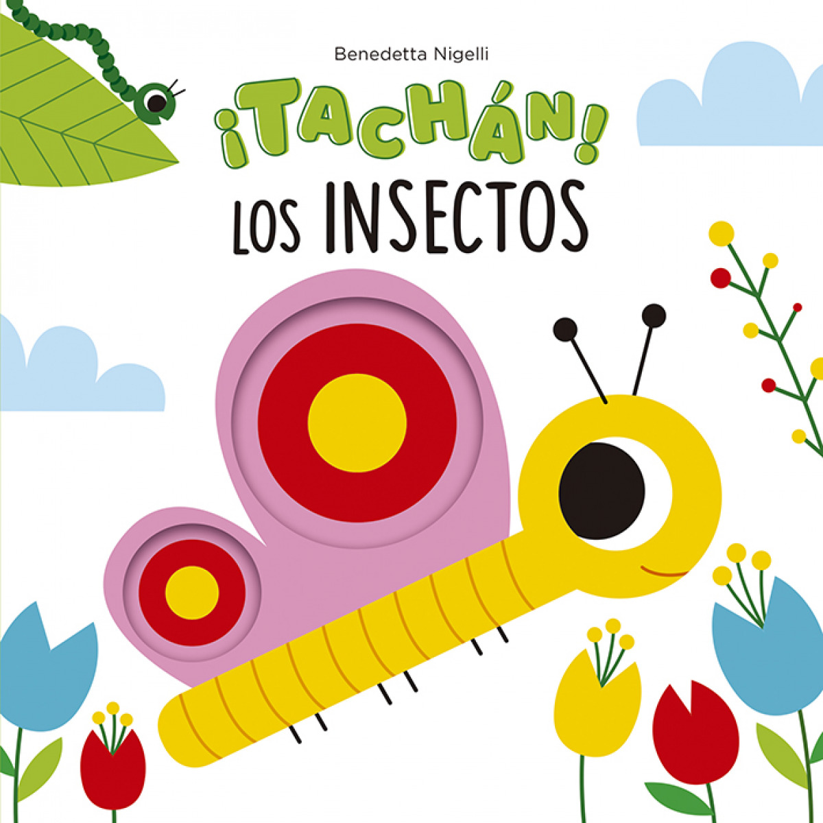 ¡Tachán! Los insectos