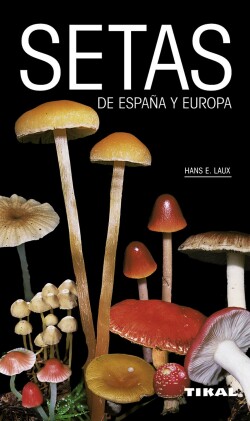 Setas de España y Europa