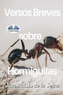 Versos Breves Sobre Hormiguitas