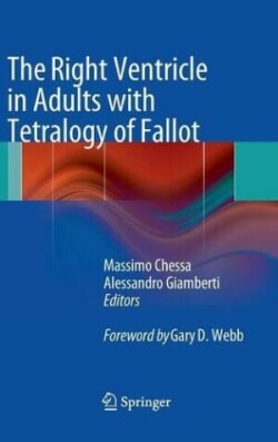 Right Ventricle in Adults with Tetralogy of Fallot