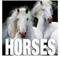 Horses: Cubebook