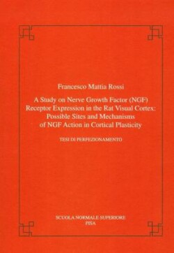 study on nerve growth factor (NGF) receptor expression in the rat visual cortex: possible sites and mechanisms of NGF action in cortical plasticity