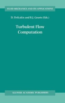 Turbulent Flow Computation