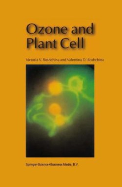 Ozone and Plant Cell