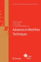 Advances in Meshfree Techniques