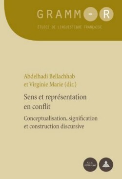 Sens Et Représentation En Conflit Conceptualisation, Signification Et Construction Discursive