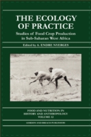 Ecology of Practice