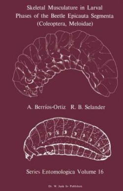 Skeletal Musculature in Larval Phases of the Beetle Epicauta Segmenta (Coleoptera, Meloidae)