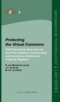 Protecting the Virtual Commons