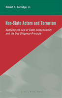 Non-State Actors and Terrorism