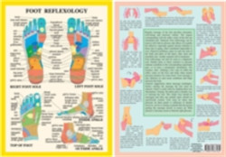 Foot Reflexology -- A4