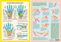 Hand Reflexology -- A4