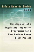 Development of a regulatory inspection programme for a new nuclear power plant project
