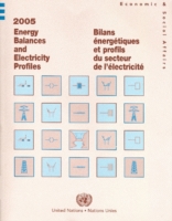 2005 Energy Balances and Electricity Profiles