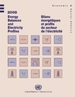 2008 energy balances and electricity profiles