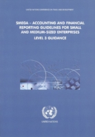 SMEGA - accounting and financial reporting guidelines for small and medium-sized enterprises