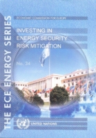 Investing in Energy Security Risk Mitigation