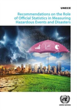 Recommendations on measuring hazardous events and disasters