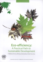 Eco-efficiency