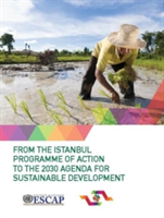 From the Istanbul Programme of Action to the 2030 Agenda for Sustainable Development