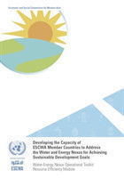 Developing the capacity of ESCWA member countries to address the water and energy nexus for achieving sustainable development goals