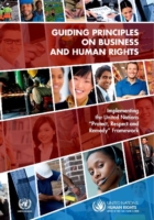 Guiding principles on business and human rights