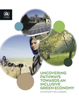 Uncovering Pathways Towards an Inclusive Green Economy