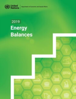 2019 energy balances