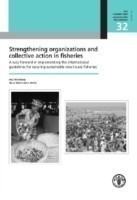 Strengthening organizations and collective action in fisheries