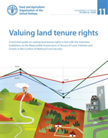 Valuing land tenure rights