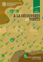 À la découverte des forêts