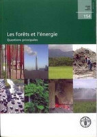 Les forêts et l'énergie