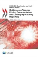 Guidance on transfer pricing documentation and country-by-country reporting